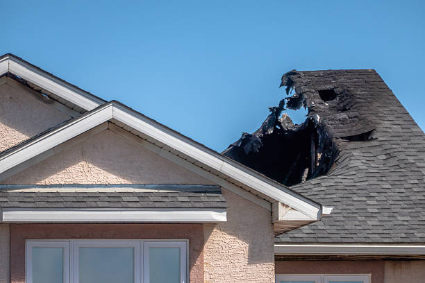 Top rated local Fire Damage Removal specialists in Dayton, NJ